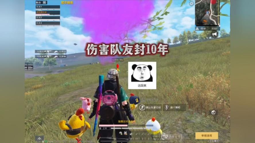 和平精英辅助【神女】