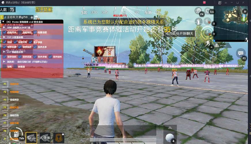 和平精英DDYS辅助